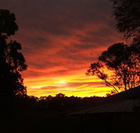 Tinonee Museum - Tourism Search