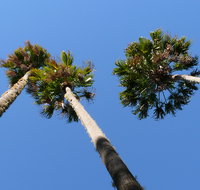 Bindarri National Park - Tourism Search