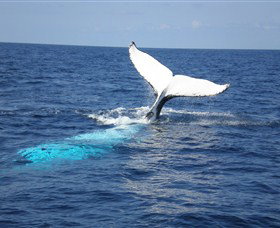 Booderee National Park: Cape St George Lighthouse - Tourism Search 1