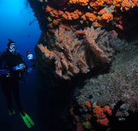 Gotham City Dive Site - Tourism Search