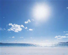 Hawks Nest Beach - Tourism Search 0