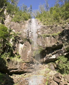 Protesters Falls - Tourism Search 0