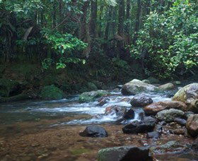 Protesters Falls - Tourism Search 1