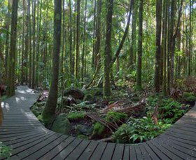 Protesters Falls - Tourism Search 4
