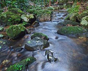 Protesters Falls - Tourism Search 7