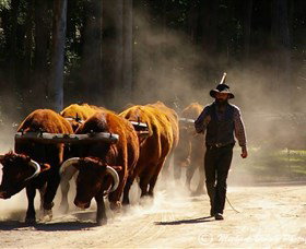 Timbertown Heritage Theme Park - Tourism Search 1