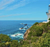 Myall Lakes National Park - Tourism Search