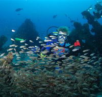 Aarhus Dive Site - Tourism Search
