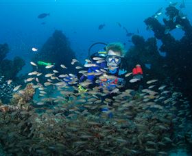 Aarhus Dive Site - Tourism Search 0