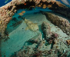 Aarhus Dive Site - Tourism Search 3