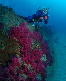 Aarhus Dive Site - Tourism Search 2
