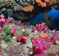 Cherubs Cave Dive Site - Tourism Search