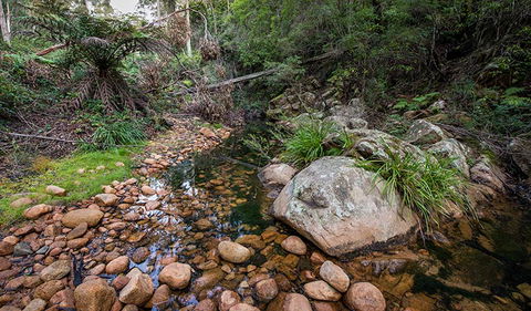 Biamanga National Park - Tourism Search 2