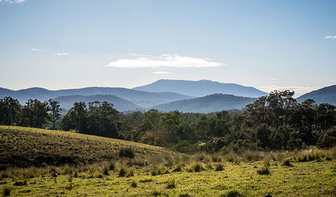 Biamanga National Park - Tourism Search 3