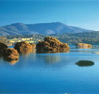 Wagonga Picnic Area - Tourism Search