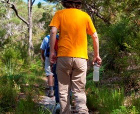 Naree Budjong Djara National Park - Tourism Search 3