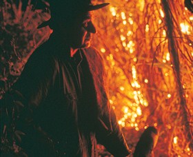 Goodwood Island NSW Tourism Search