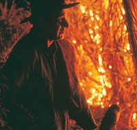 The Shed Gallery - Tourism Search