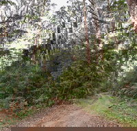 End Peak walking track - Tourism Search