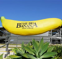 The Big Banana - Tourism Search