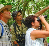 Falls walking track - Tourism Search