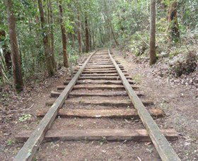 Kerewong State Forest - Tourism Search 1