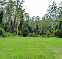 Kerewong State Forest - Tourism Search