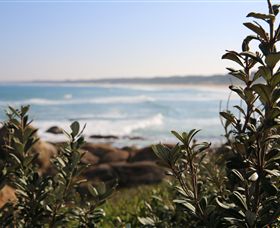 Cape Conran Coastal Park - Tourism Search 0