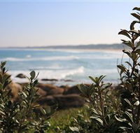 Cape Conran Nature Trail - Tourism Search