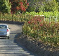 Cassegrain Wines - Tourism Search