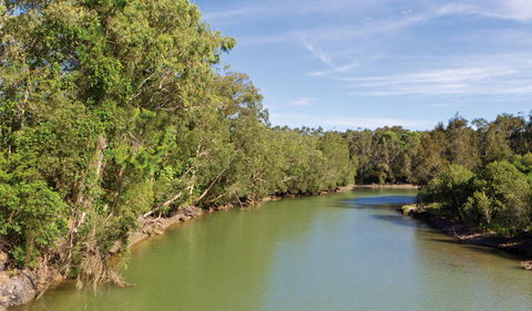 Woolgoolga Lake - Tourism Search 1