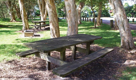 Woolgoolga Lake - Tourism Search 3