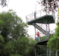 Cape Hawke lookout - Tourism Search