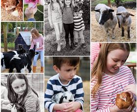 Roses Vineyard And Animal Farm - Tourism Search 1