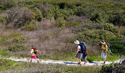 Yuraygir Coastal Walk - Tourism Search 0