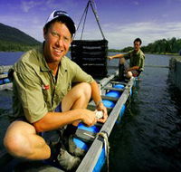 Armstrong Oysters - Tourism Search