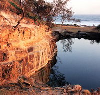 Angourie Blue Pool - Tourism Search