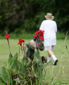 Teven Valley Golf Course - Tourism Search 3