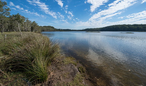 Lake Innes Nature Reserve - Tourism Search 1
