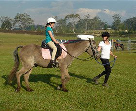 Port Macquarie Horse Riding Centre - Tourism Search 0