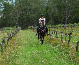 Port Macquarie Horse Riding Centre - Tourism Search 1
