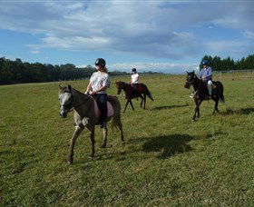Port Macquarie Horse Riding Centre - Tourism Search 5