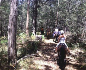 Port Macquarie Horse Riding Centre - Tourism Search 4