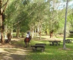 Port Macquarie Horse Riding Centre - Tourism Search 6