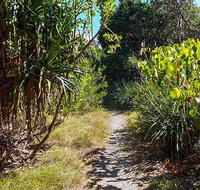 North Head walking track - Tourism Search