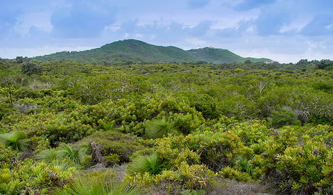 Arakwal National Park - Tourism Search 1