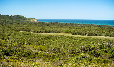Arakwal National Park - Tourism Search 2