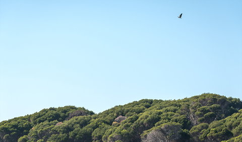 Terrace Beach And Lennards Island - Tourism Search 1