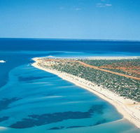 Monkey Mia - Tourism Search