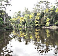 Arthur River - Tourism Search